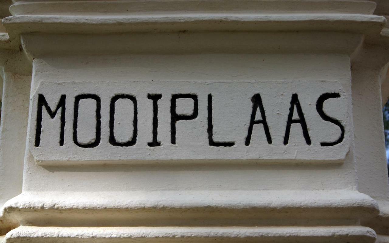 Mooiplaas Wine Estate Apartment Stellenbosch Exterior photo