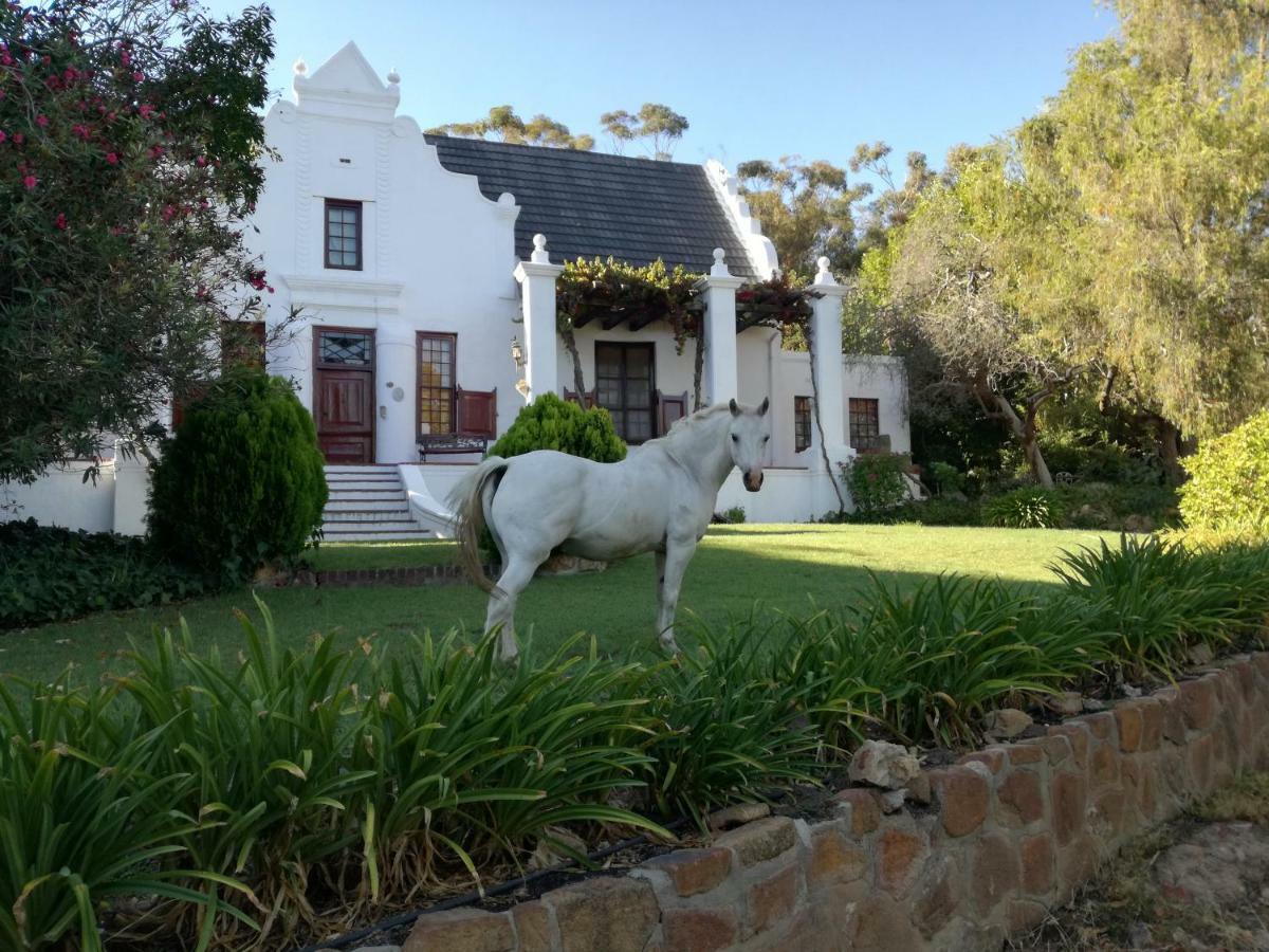 Mooiplaas Wine Estate Apartment Stellenbosch Exterior photo